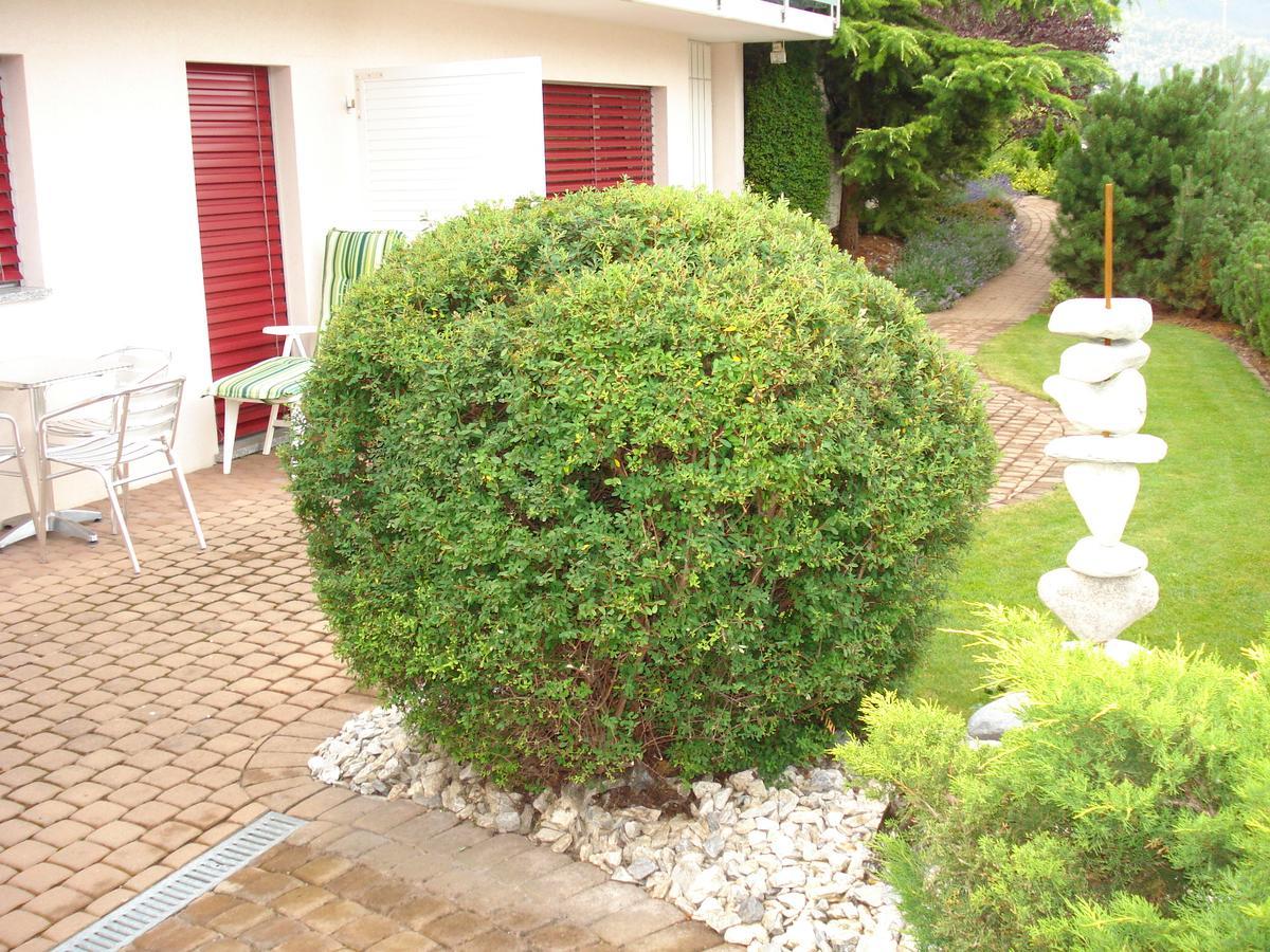 Ferienwohnung Lenggenhager Plantzette 谢尔 外观 照片